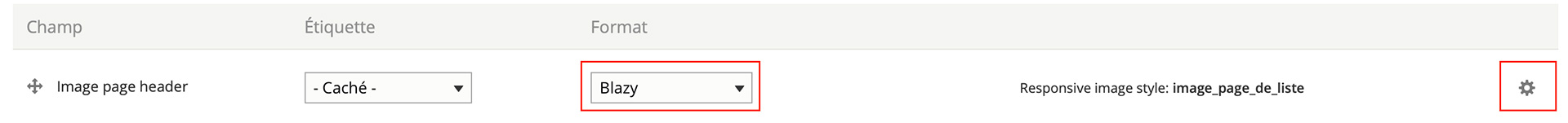 Format style d'image Blazy Drupal 9