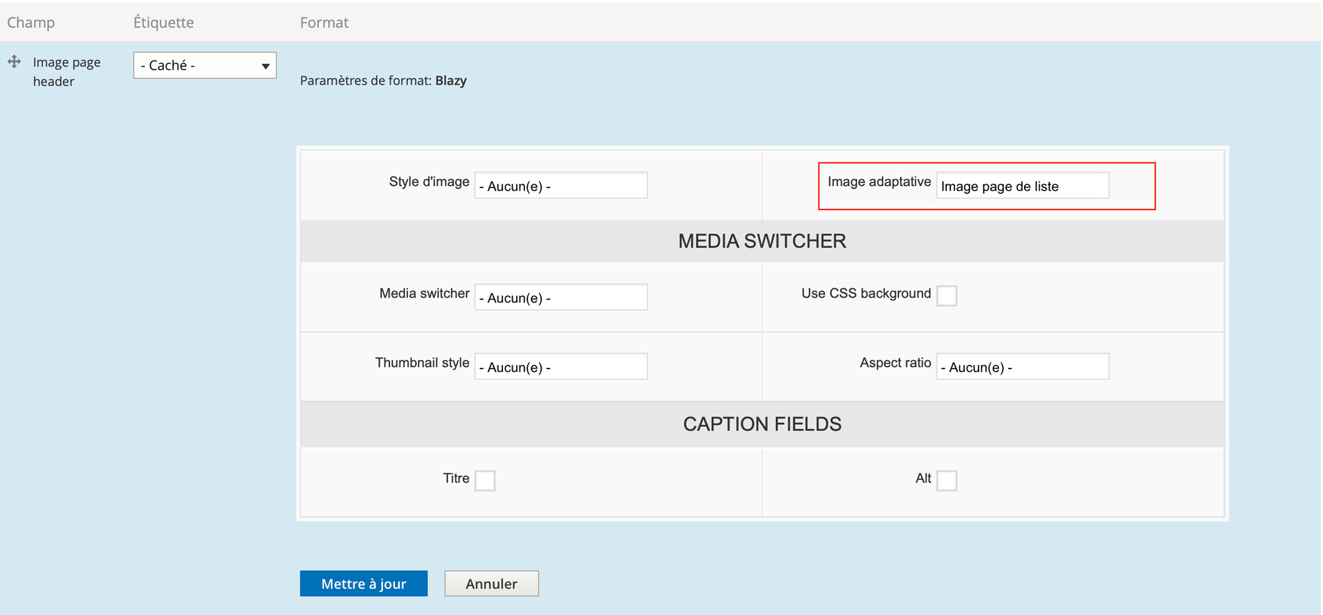 Format Blazy image adaptative drupal